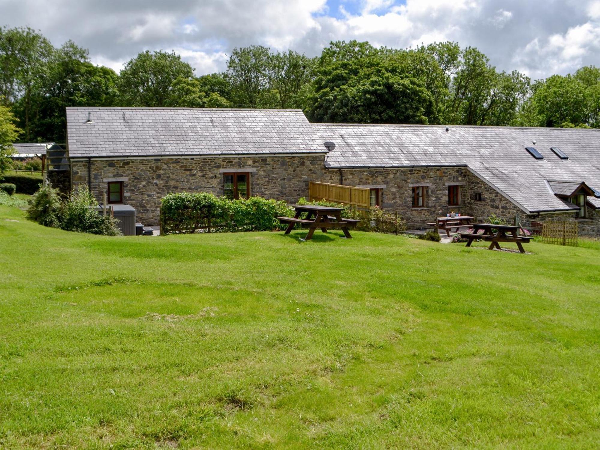 Caffi Sali - Weluk143 Blaenpenal